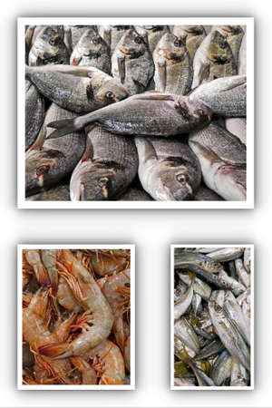 Fresh fish and fresh shrimpの写真素材