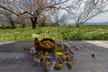 almond trees, almond flowers on wooden table, almonds and natural almond oil in the bottleの写真素材