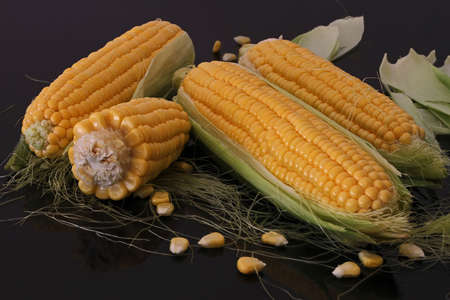 Fresh corns on black glass table.