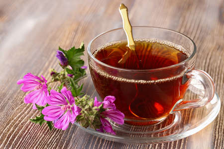 mallow herb and mallow flower tea in cup.の写真素材