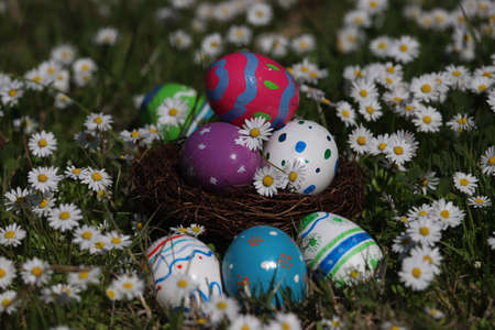 Colorful Easter eggs in bird's nest among daisies