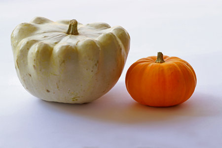 Colorful natural tiny ornamental pumpkinsの写真素材