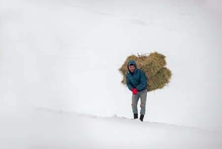 Turkey - BingÃ¶l, 19 January 2019, a man carrying grass to his sheep in the karliova regionのeditorial素材