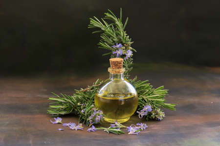 Rosemary oil and rosemary herb in glass bottle; Rosmarinus