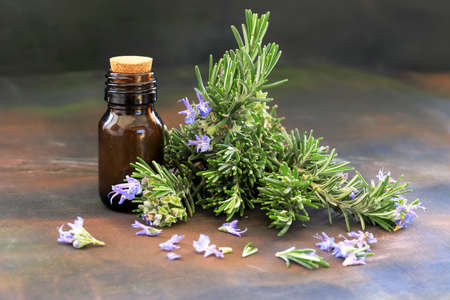 Rosemary oil and rosemary herb in glass bottle; Rosmarinusの写真素材