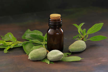 Fresh (Green) Almonds on a wooden background and almond oil in a bottle.の写真素材