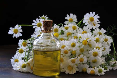 Chamomile flowers on the table and chamomile oil in a bottleの写真素材