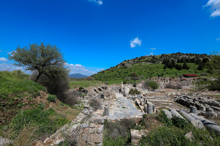 Ephesus Ancient City in Turkeyのeditorial素材