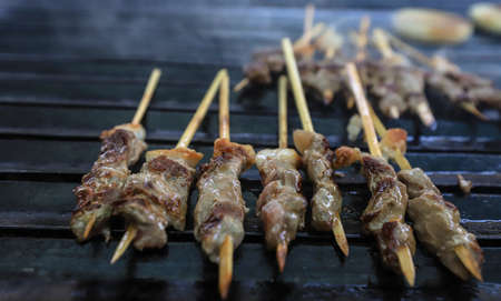 Traditional delicious Turkish food; The moment of cooking lamb meat in coal fire. Turkish name : ( ÃopÅiÅ )の写真素材
