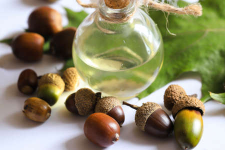 Oak leaf and acorns on white background , acorn oil in clear glass bottle . alternative medicine.の写真素材