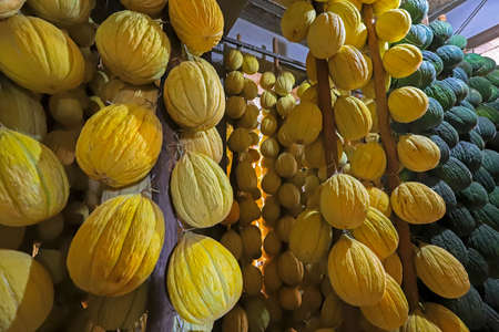 Winter melon, Turkey's most famous centipede melon, winter melon based on tree poles. Organic vegetable concept.の写真素材