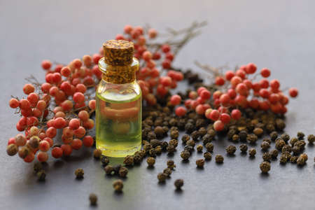 Black pepper plant and black pepper seeds on gray background and black pepper oil in glass bottle .