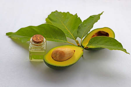 Fresh avocado and leaves and avocado oil in glass bottle .の写真素材