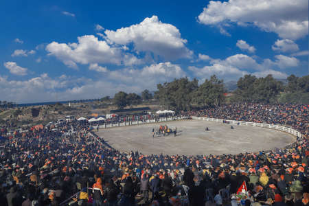Selcuk - Izmir -Turkey Camel wrestling held on January 16, 2022, people coming for wrestling footage. Camel wrestling is a popular attraction in the Aegean region of Turkey.のeditorial素材