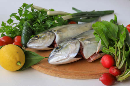 It is called Akya , Lamb , Naked , Leka and Iskender Fish in Turkey . (Carangidae)の写真素材