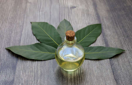 Glass bottle of essential bay laurel oil with daphne leaves on wooden rustic background. Healthy lifestyle spa, therapy conceptの写真素材