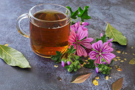 mallow herb and mallow flower tea in cup.の写真素材