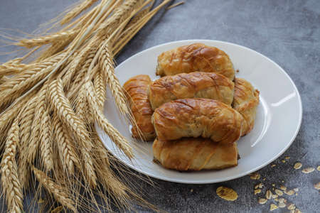 Turkish Tray Boregi, Round Borek, Tray pastry (Turkish name; roll borek - smoking boregi)の写真素材