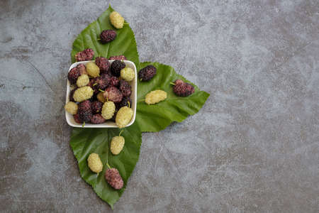 Red and white mulberry berriesの写真素材