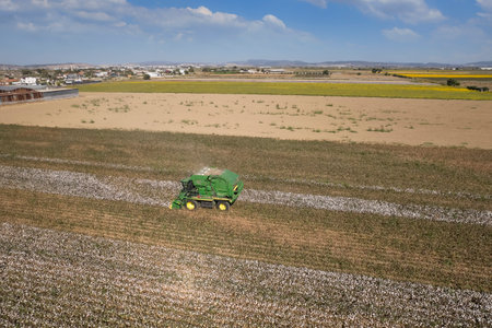 Izmir - Turkey September 24, 2022 Cottons ripening in Menemen plain. drone footage. cotton picker. cotton harvest in Turkeyのeditorial素材