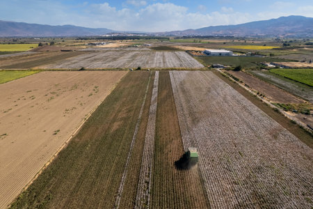 Izmir - Turkey September 24, 2022 Cottons ripening in Menemen plain. drone footage. cotton picker. cotton harvest in Turkeyのeditorial素材
