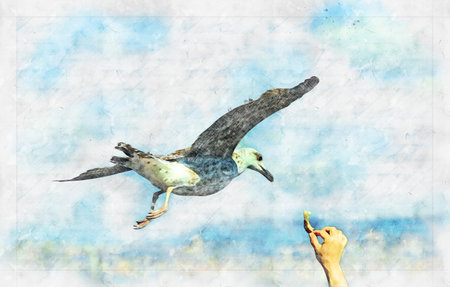 flying gull taking food from handの写真素材