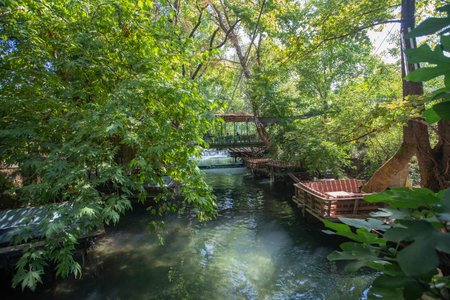 Turkey - Mugla -Koycegiz 27 August 2022 A beautiful place where people have resting areas on the YuvarÃ§ay (River).のeditorial素材