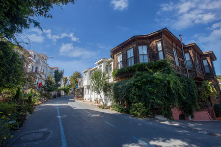 Istanbul - Turkey 05 September 2021 Kinali island, one of the most beautiful islands of Istanbul.のeditorial素材