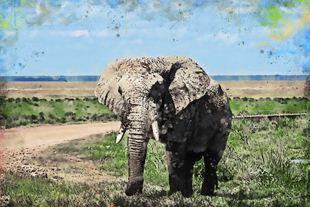 African Elephant walking on dirt road in Kenya National Park, watercolor artistic work.の写真素材