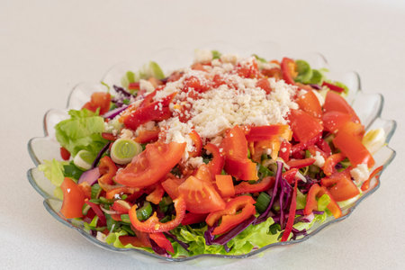 Cheese, tomato, lettuce, onion saladの写真素材