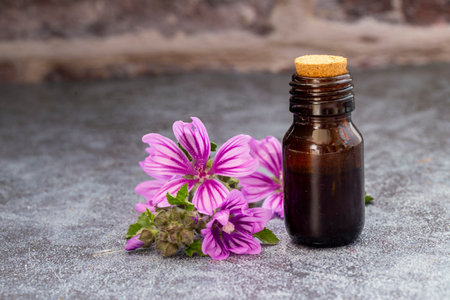 bottle of hibiscus essential oil - beauty treatmentの写真素材