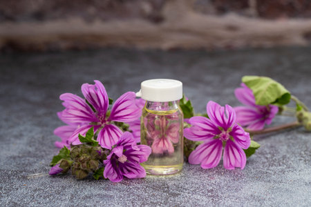 bottle of hibiscus essential oil - beauty treatmentの写真素材