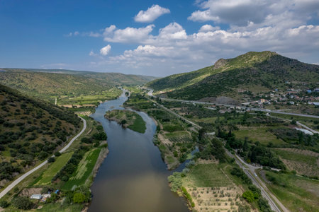 The green plants in the Gediz river bed create a beautiful texture in the photo. Emiralem village area .の写真素材