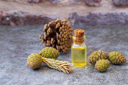 Wood fragrances for aromatherapy in winter time. Pine cones and fresh green fir tree branches, essential oil bottles .の写真素材