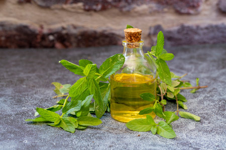 Peppermint essential oil in glass bottle with fresh green mint leaves on rustic backgroundの写真素材