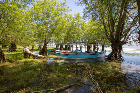 Civril - Denizli - Turkey, June 15, 2023, Civril Isikli Lake in Denizli.のeditorial素材