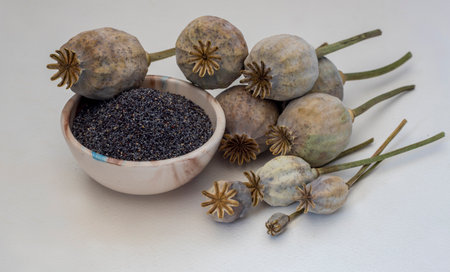 poppy seeds and poppy head top view isolated on white backgroundの写真素材