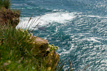 Majestic Latrabjarg cliffs in West Fjords, Iceland. Iceland attracts tourists to visit.の写真素材