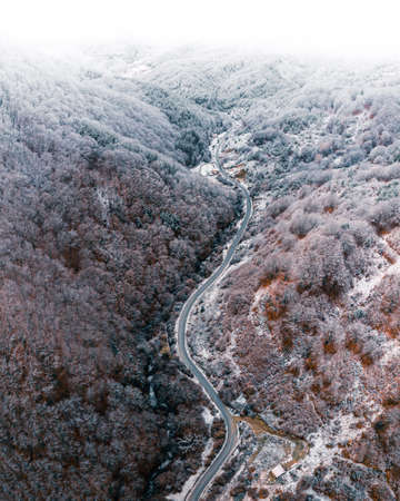Winter taking over the mother nature.の写真素材
