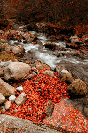 A couple of second long exposure. Getting that milky stream.の写真素材