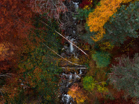 Over the nature, looked from above with drone.の写真素材