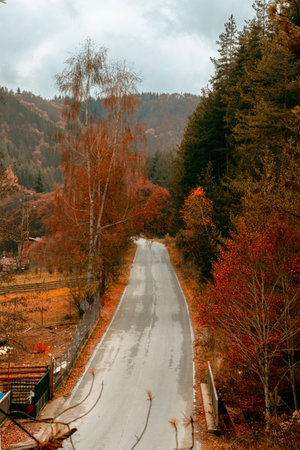 Road to the mountains in Pirin National Parkの写真素材