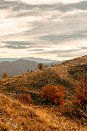 Slightly midday landscape with a warm background colors.の写真素材