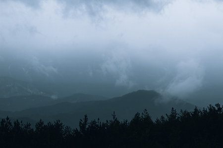 Landscape of foggy mountains with coniferous forest in foreground