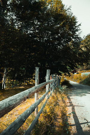 Wooden fence in the autumn forest. Country road in the autumn forest.の写真素材