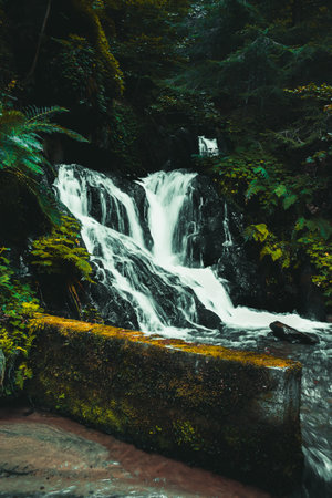 Waterfall in the forest of Pirin National Park. Beautiful waterfall in the forest.