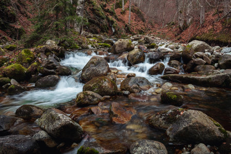 Mountain stream in the Pirin Mountains, Bulgaria.の写真素材