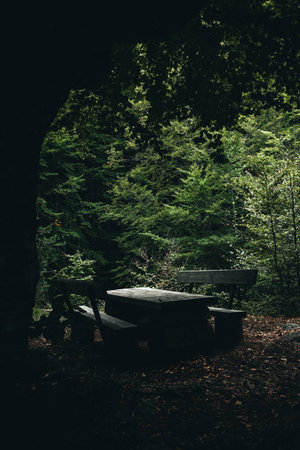Relaxing quiet place in the woodland with moody surroundings.の写真素材