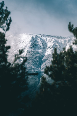 Winter scenery in the Bulgarian mountains in Pirin.の写真素材