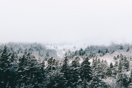 Fog and snowy conditions in the top of a mountain.の写真素材